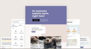 Otter Blocks Pro Free Download Nulled