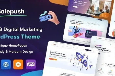 Salepush SEO Digital Marketing WordPress Theme